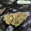 Sugarcane