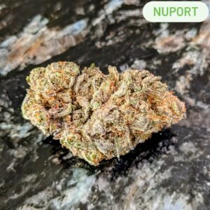 Nuport
