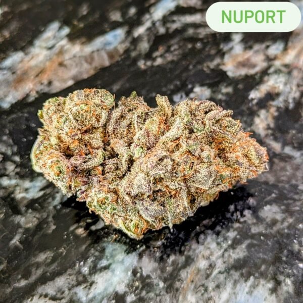 Nuport