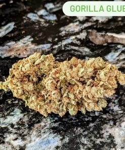 Alternative view of Gorilla Glue