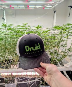 Druid Embroidered Hat