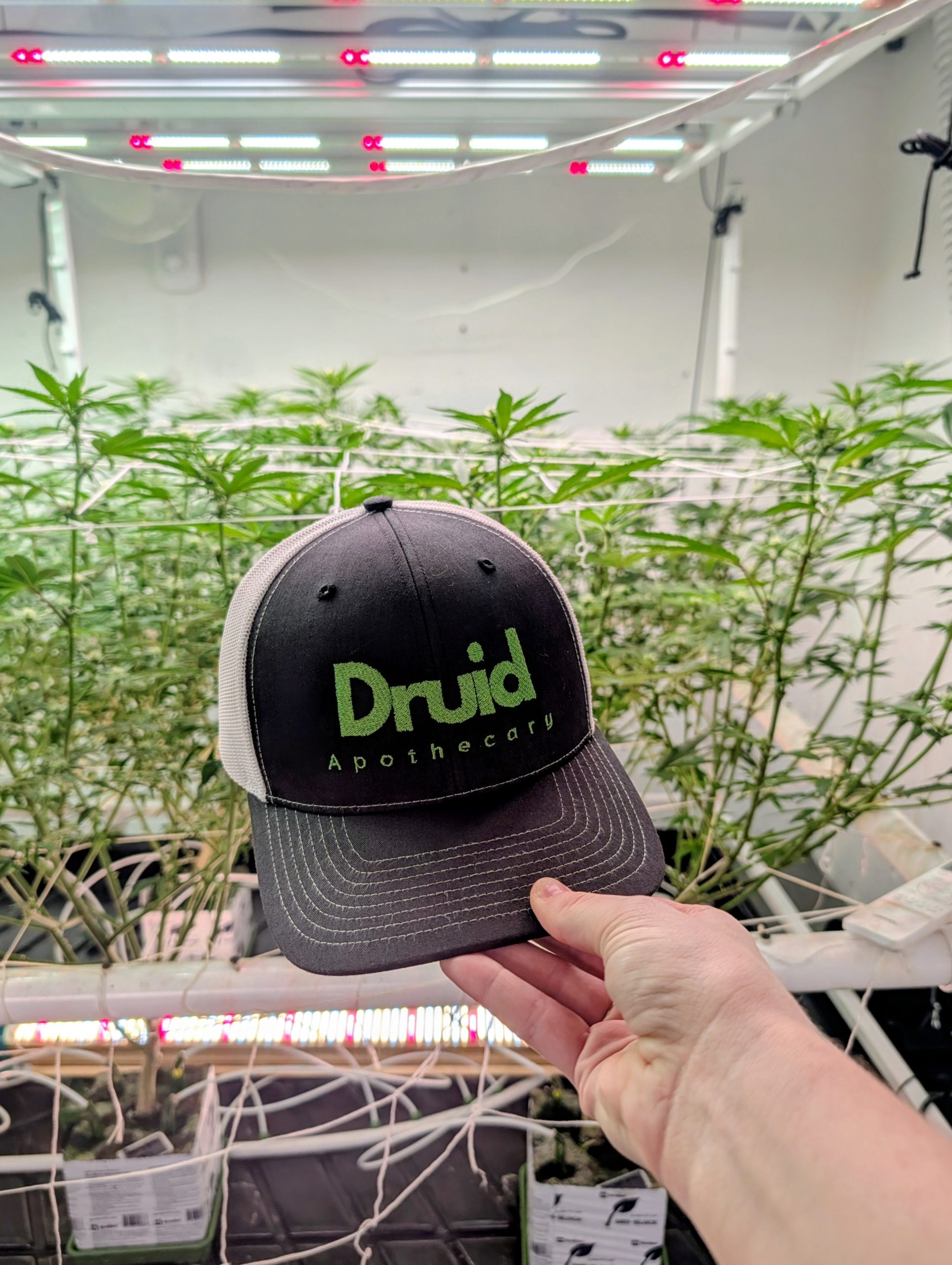 Druid Embroidered Hat